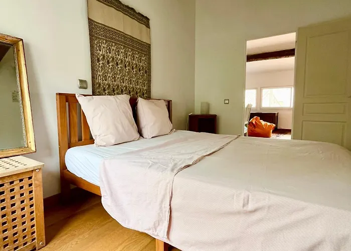 A Spacious, Sunny & Calm Loft In Avignon\'S Heart