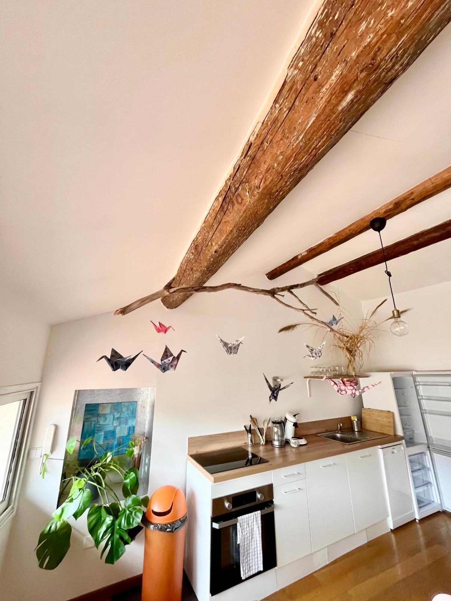 A Spacious, Sunny & Calm Loft In Avignon's Heart Appartement Avignon